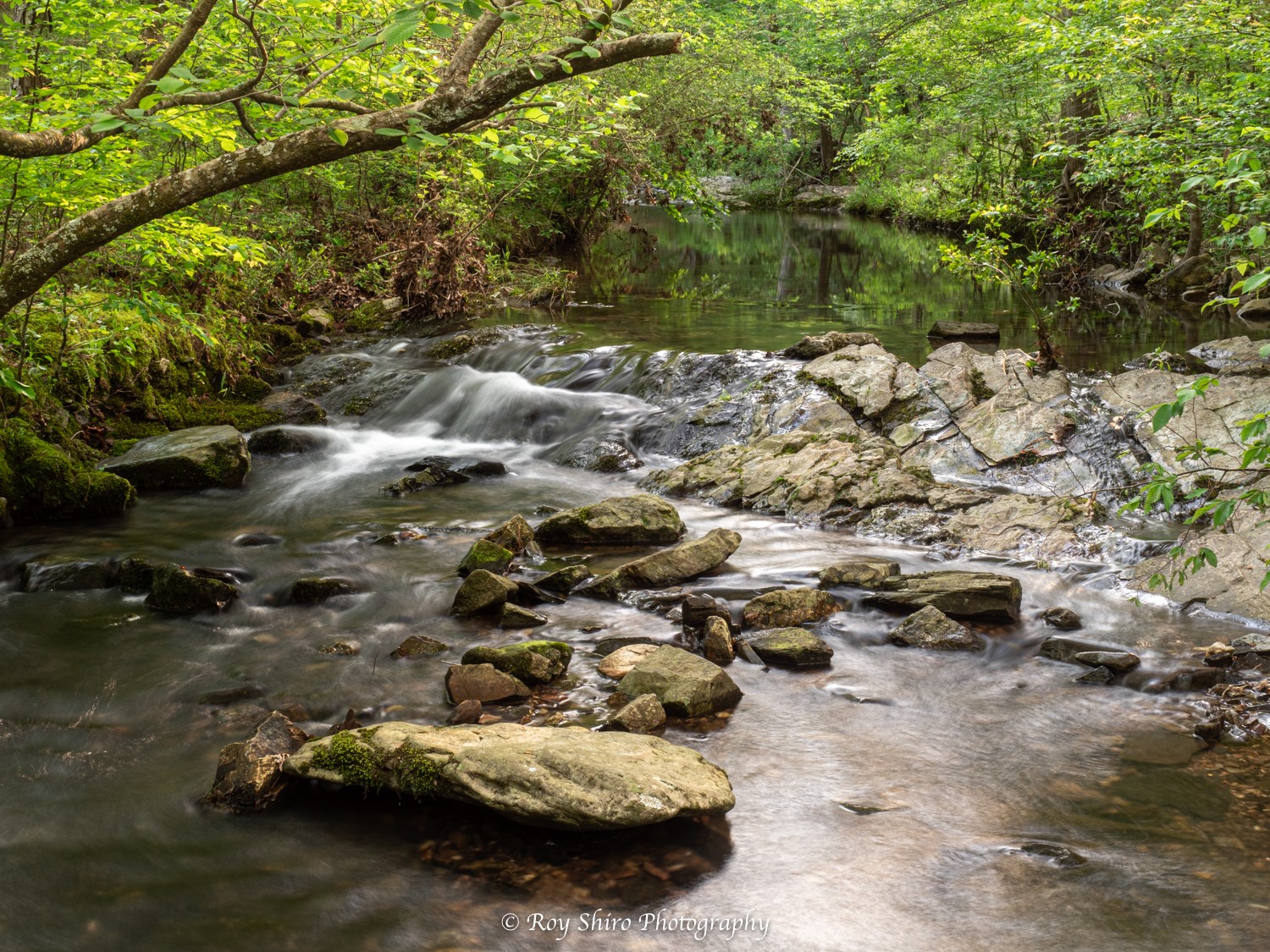 Peaceful river running over rocks with green tree line above